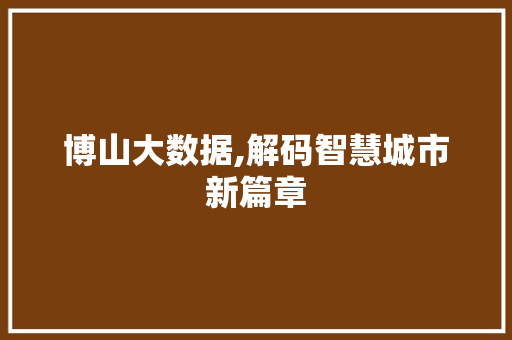 博山大数据,解码智慧城市新篇章 360搜优化