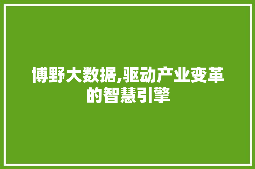博野大数据,驱动产业变革的智慧引擎 搜狗优化