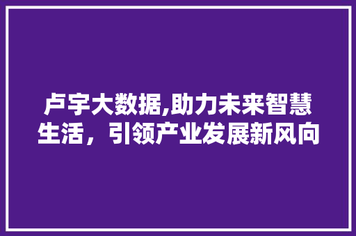 卢宇大数据,助力未来智慧生活，引领产业发展新风向 seo技术