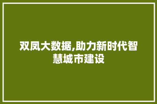 双凤大数据,助力新时代智慧城市建设 网站开发