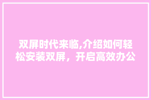 双屏时代来临,介绍如何轻松安装双屏，开启高效办公新篇章 网站优化