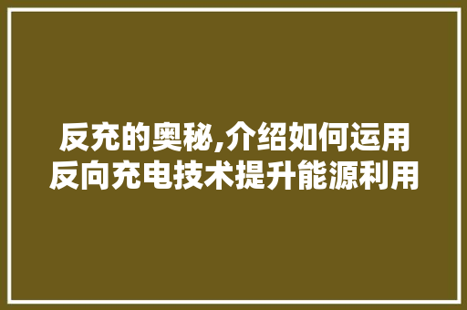 反充的奥秘,介绍如何运用反向充电技术提升能源利用效率