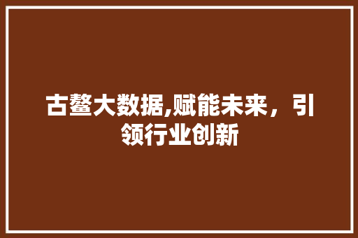 古鳌大数据,赋能未来，引领行业创新 英文谷歌算法