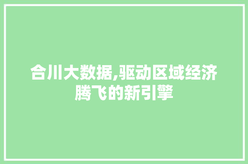 合川大数据,驱动区域经济腾飞的新引擎