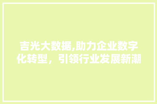吉光大数据,助力企业数字化转型，引领行业发展新潮流 百度算法