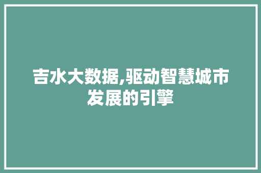 吉水大数据,驱动智慧城市发展的引擎 seo技术