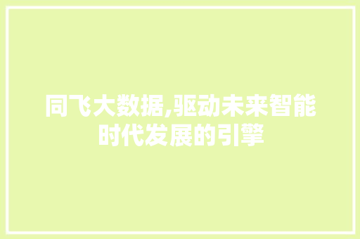 同飞大数据,驱动未来智能时代发展的引擎 网站优化
