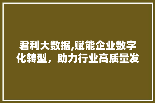 君利大数据,赋能企业数字化转型，助力行业高质量发展