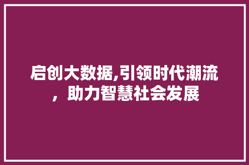 启创大数据,引领时代潮流，助力智慧社会发展