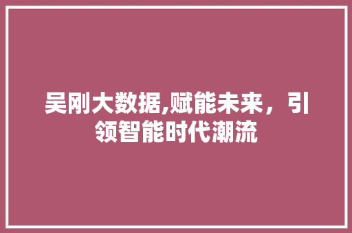 吴刚大数据,赋能未来，引领智能时代潮流 小程序开发