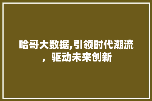 哈哥大数据,引领时代潮流，驱动未来创新 小程序开发
