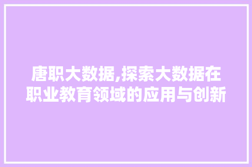 唐职大数据,探索大数据在职业教育领域的应用与创新