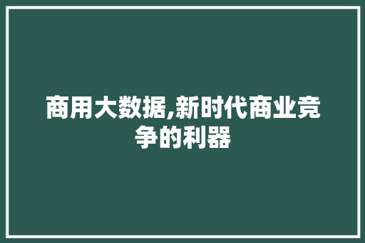 商用大数据,新时代商业竞争的利器 网站优化