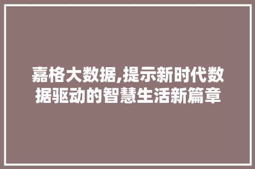 嘉格大数据,提示新时代数据驱动的智慧生活新篇章