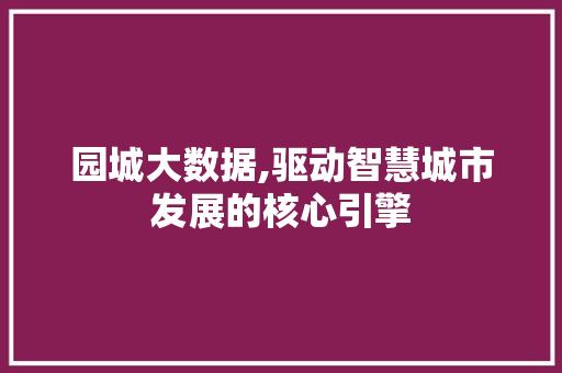 园城大数据,驱动智慧城市发展的核心引擎