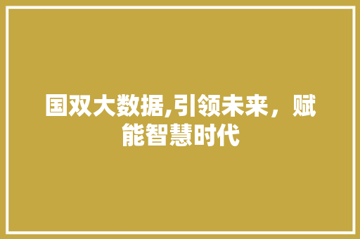 国双大数据,引领未来，赋能智慧时代 英文谷歌算法