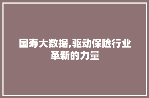 国寿大数据,驱动保险行业革新的力量