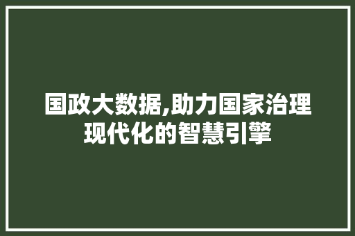 国政大数据,助力国家治理现代化的智慧引擎 英文谷歌算法