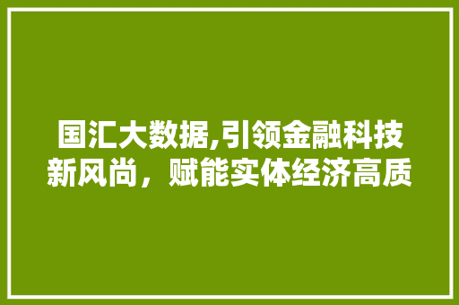 国汇大数据,引领金融科技新风尚，赋能实体经济高质量发展