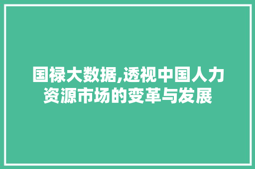 国禄大数据,透视中国人力资源市场的变革与发展