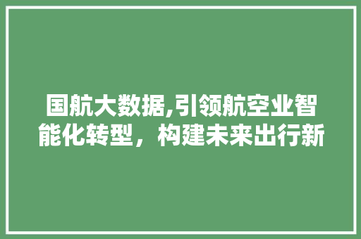 国航大数据,引领航空业智能化转型，构建未来出行新格局 网站开发