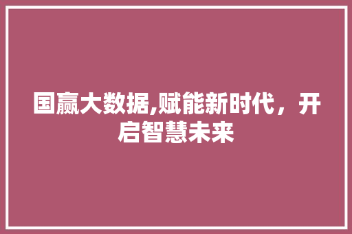 国赢大数据,赋能新时代，开启智慧未来