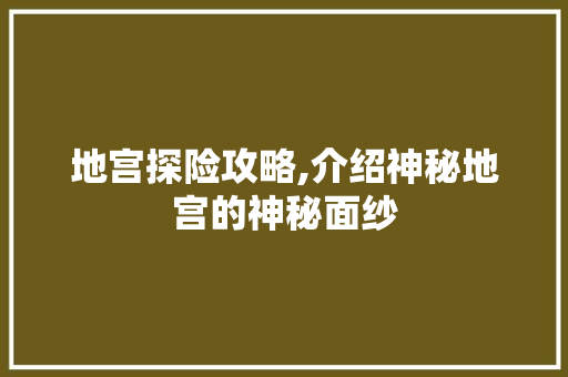 地宫探险攻略,介绍神秘地宫的神秘面纱 网站优化