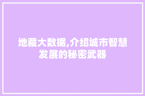 地藏大数据,介绍城市智慧发展的秘密武器