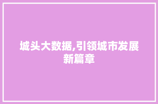 城头大数据,引领城市发展新篇章 百度算法