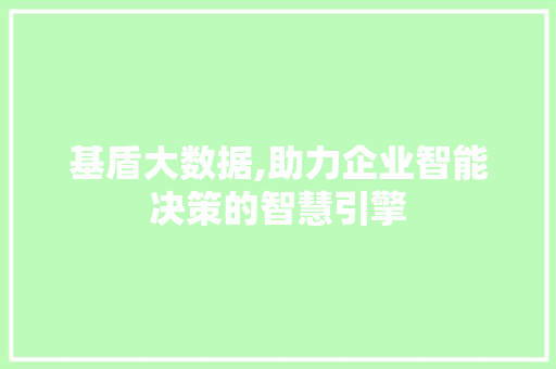 基盾大数据,助力企业智能决策的智慧引擎
