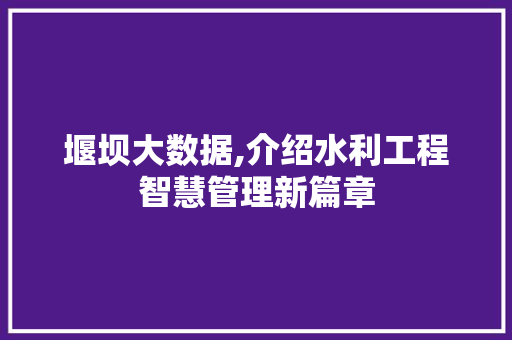 堰坝大数据,介绍水利工程智慧管理新篇章 网站开发