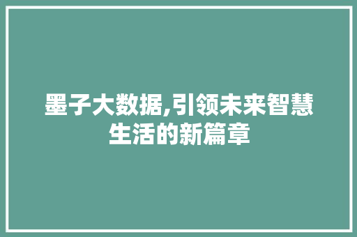 墨子大数据,引领未来智慧生活的新篇章 seo技术