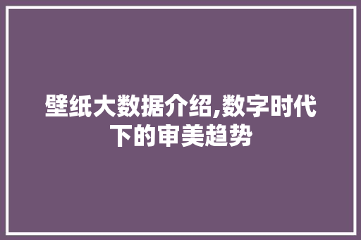 壁纸大数据介绍,数字时代下的审美趋势