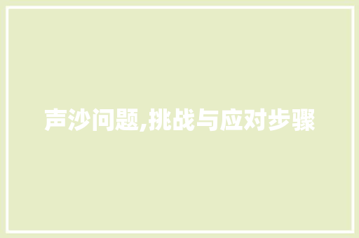声沙问题,挑战与应对步骤 搜狗优化