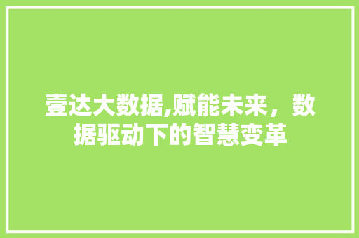 壹达大数据,赋能未来，数据驱动下的智慧变革