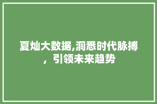 夏灿大数据,洞悉时代脉搏，引领未来趋势 网站开发