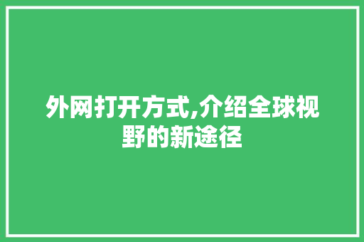 外网打开方式,介绍全球视野的新途径