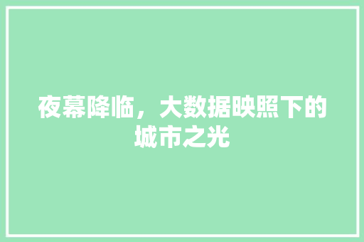 夜幕降临，大数据映照下的城市之光 seo技术