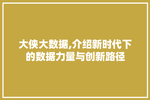 大侠大数据,介绍新时代下的数据力量与创新路径 网站开发