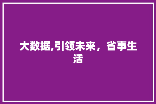 大数据,引领未来，省事生活