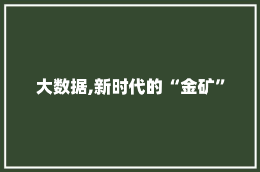 大数据,新时代的“金矿” 360搜优化