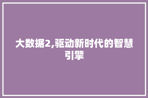 大数据2,驱动新时代的智慧引擎 小程序开发