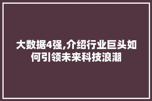 大数据4强,介绍行业巨头如何引领未来科技浪潮 头条优化