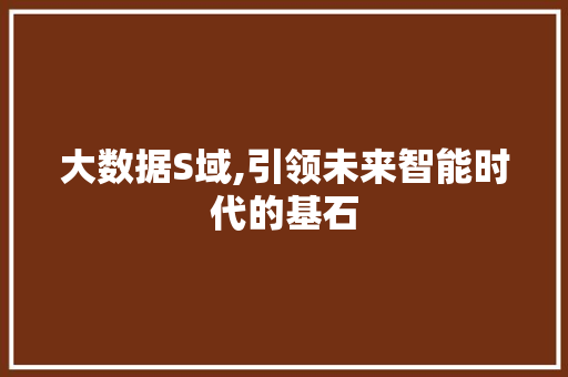 大数据S域,引领未来智能时代的基石