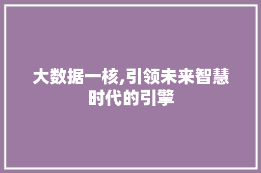 大数据一核,引领未来智慧时代的引擎 360搜优化