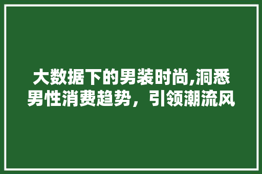 大数据下的男装时尚,洞悉男性消费趋势，引领潮流风向标