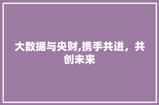大数据与央财,携手共进，共创未来