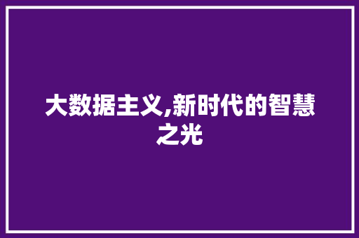 大数据主义,新时代的智慧之光
