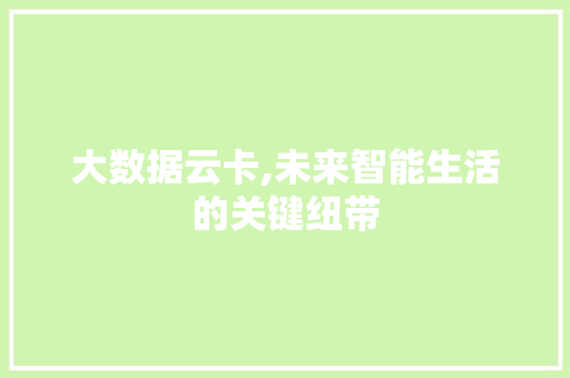 大数据云卡,未来智能生活的关键纽带 小程序开发