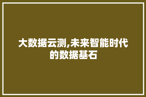 大数据云测,未来智能时代的数据基石 搜狗优化